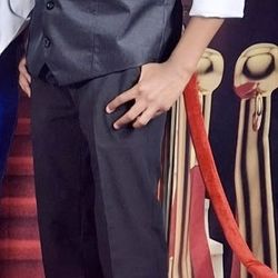 Men’s/Teen Dress Shirt, Vest, Slacks, & Tie