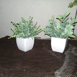 Plastic 2 PC. Mini Plant Set