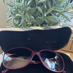 Burberry Authentic Burgundy Sunglasses