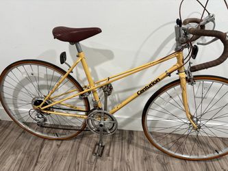 LE MAns MIxte centurion wife bike