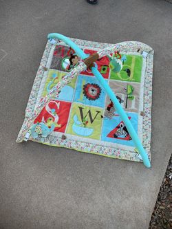 Skip hop alphabet zoo activity gym mat