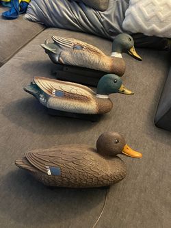 3 DUCK DECOYS