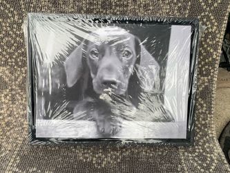 NWT Framed Black Lab Puppy Canvas Wall Art - 18"x14" Home Decor / accents Picture / Frame