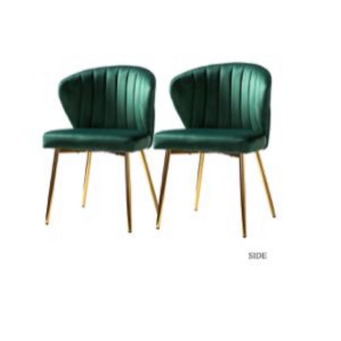 Dining Chairs 