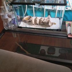 50 Gallon Aquarium 
