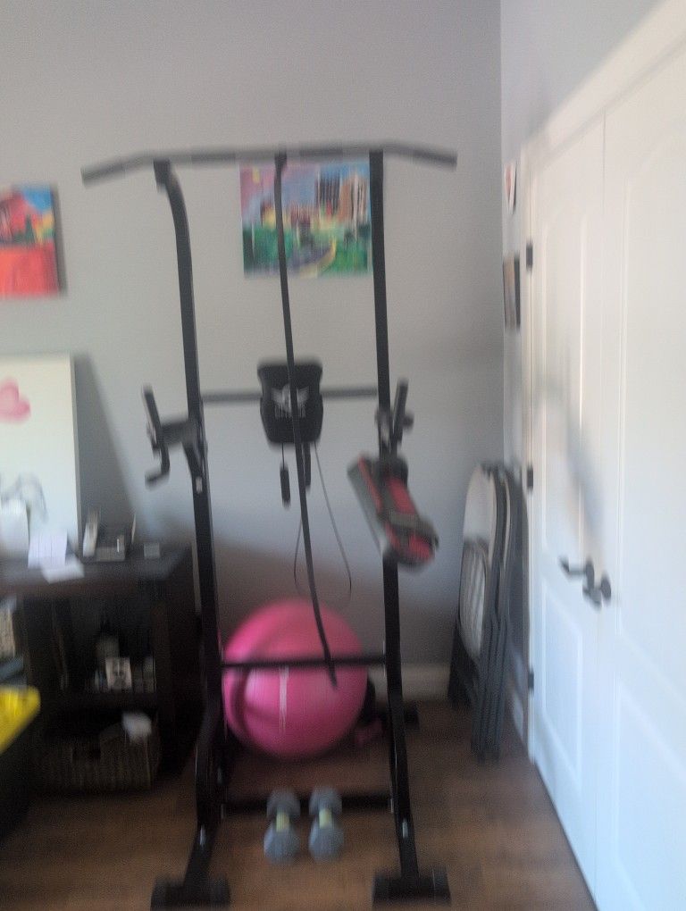 Pull Up bar( City Birds)