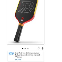 Pickle Ball Bat