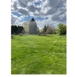 Aqua Grande Water Towers (1) Sprinklers 19,000+ Sqf Large Area Lawn Yard & Garden 6+ Foot Tall