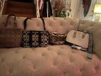 Ladies coach purses