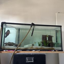 55 Gallon Aquarium 