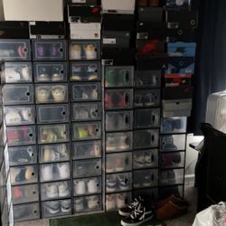 Sneaker Collection