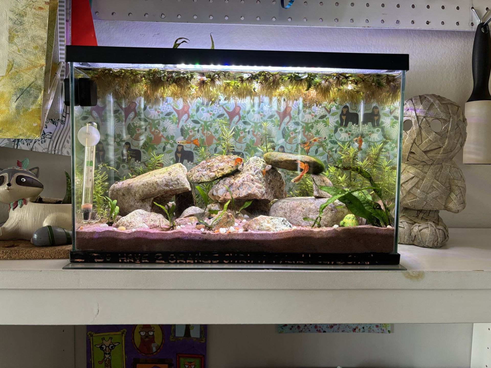 3 Gallon Tank Filter And Sand