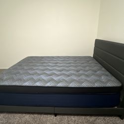 Queen Mattress With The Bed frame 