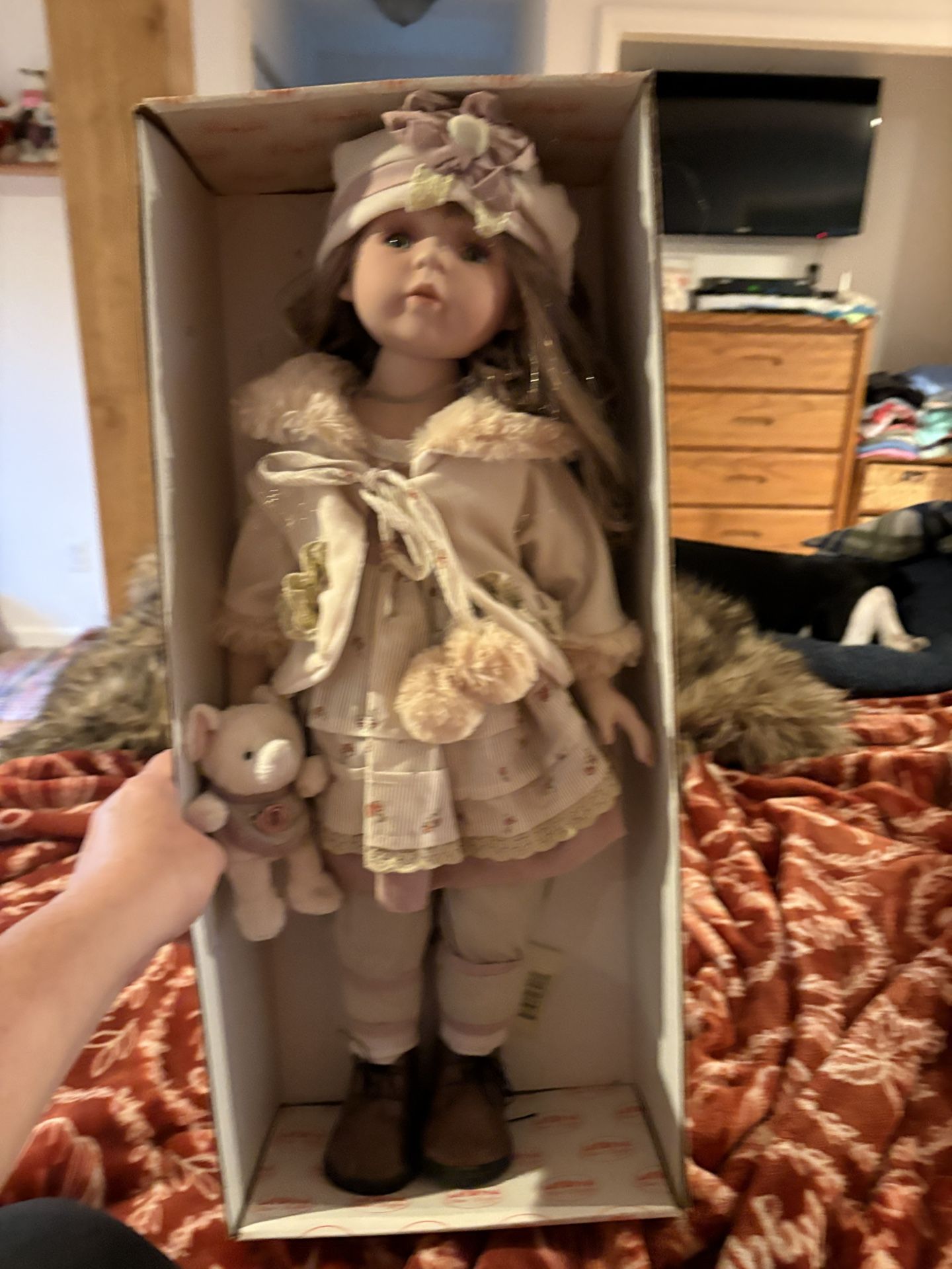 Beautiful Collectible Doll