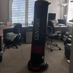 Century Standing Punching Bag VERSYS VS. 1