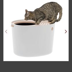 Cat Litter Box