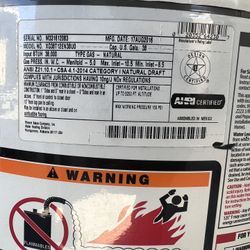 RHEEM PERFORMANCE PLATINUM WATER HEATER 