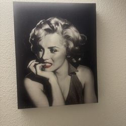Marilyn Monroe Picture 