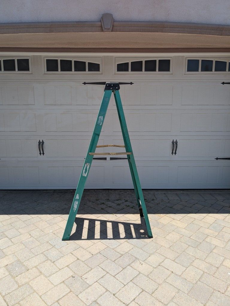 Werner 6 Foot Fiberglass Ladder