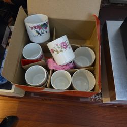 Tea Cups
