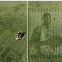 Grass Cutting 