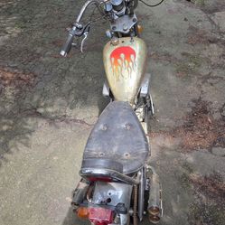 Mini Hog