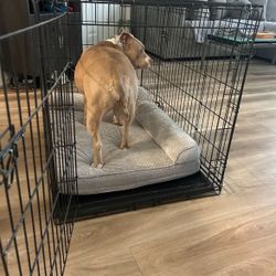 Xl Dog Crate W 2 Doors
