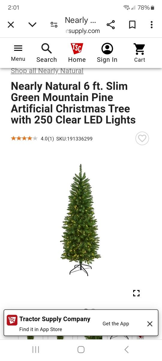New 6ft Natural Slim Green Mountain Pine Christmas Tree With 250 Clear LED Lights