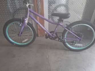 Guardian Sure Stop bikes