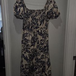 Lapogee Spring Dress