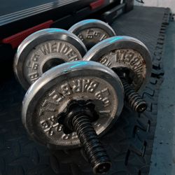 20lb Dumbbells 