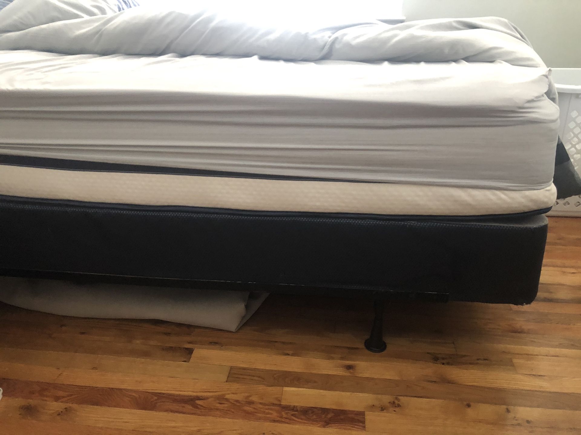 Queen size bed, box spring and metal frame