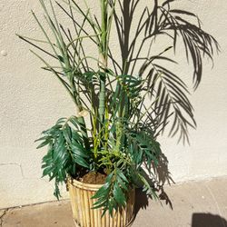 Artificial Bamboo Tree 