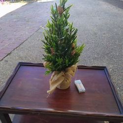 Pre-Lit Miniature Tabletop Christmas Tree with Burlap Base