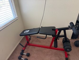 Adjustable Weight Bench hamstrings and quads