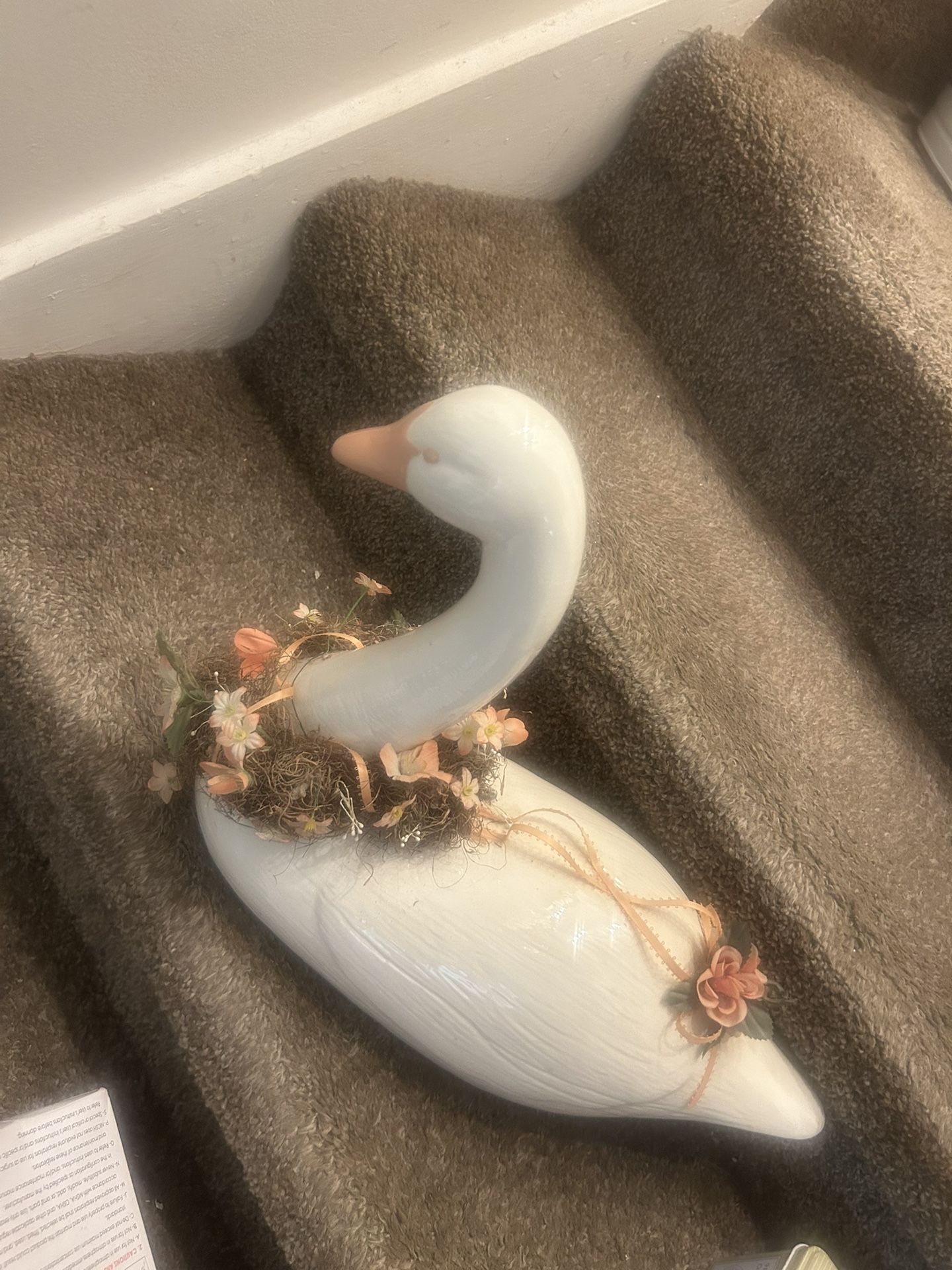 Ducky