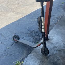 Electric Bird Scooter