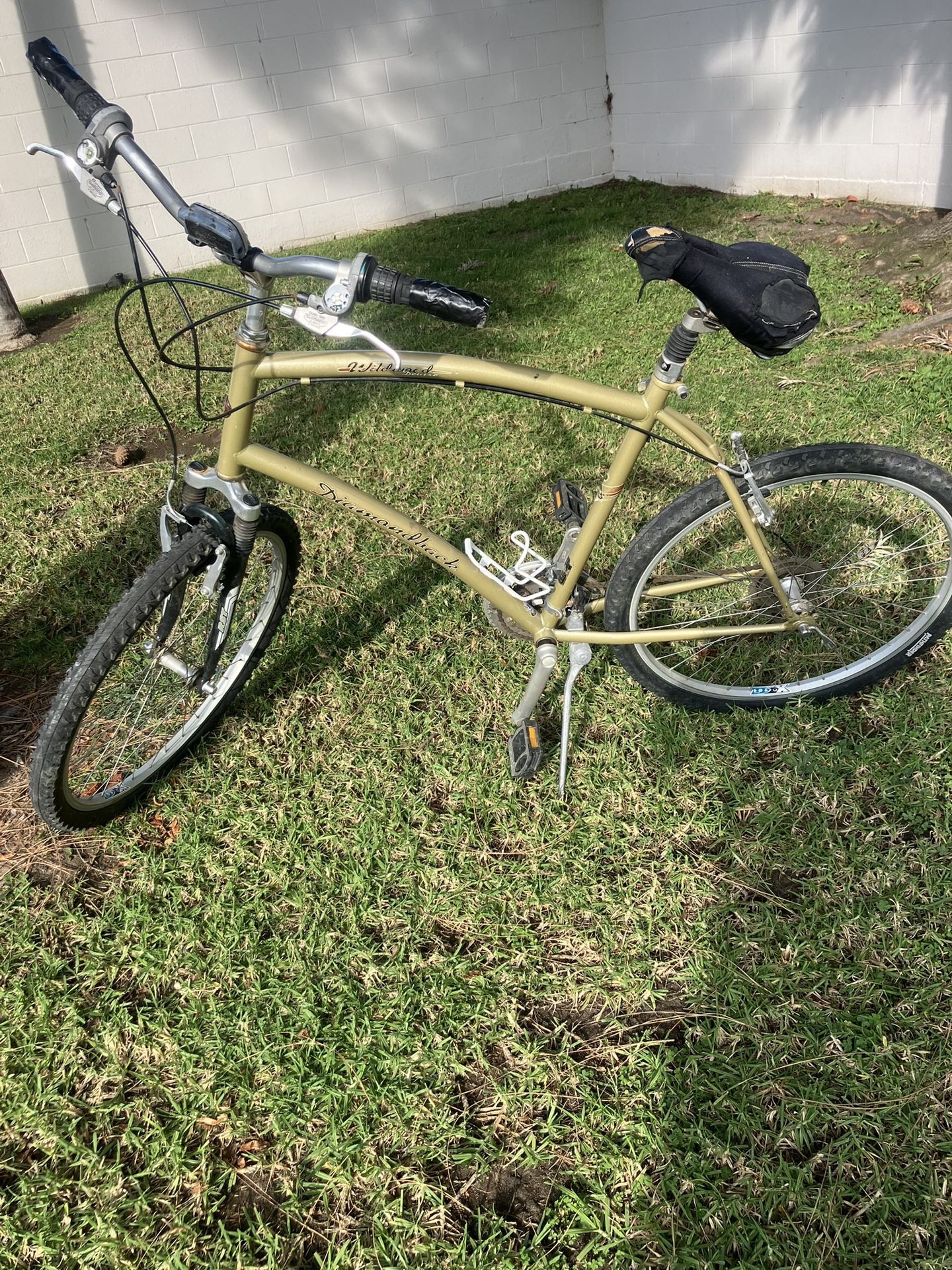 Diamondback Wildwood Deluxe Bike