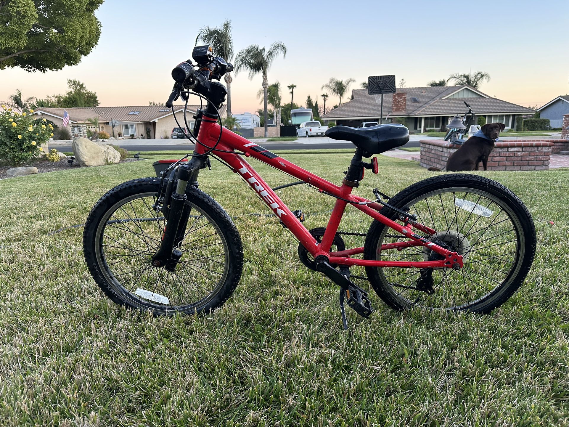 TREK Youth bike