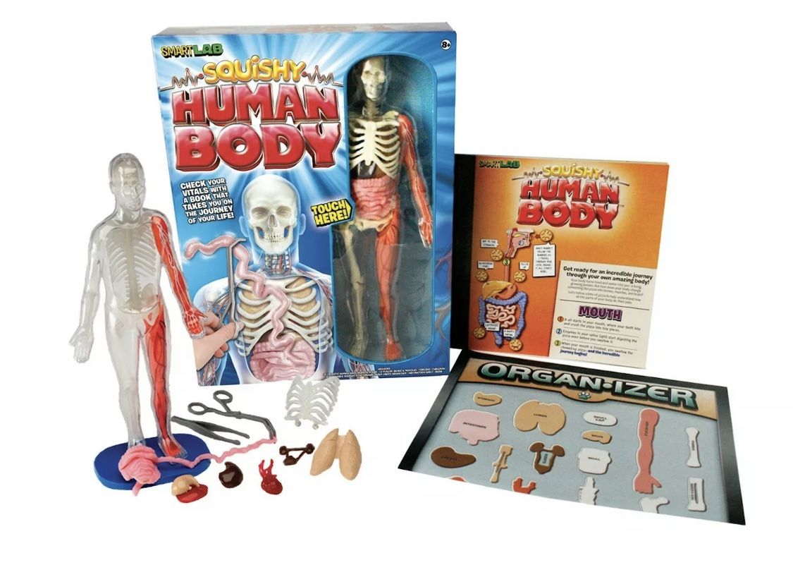 NEW - Great gift!  Human Body Game - fun and educational! Expensive! Craft
