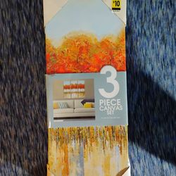 3 Canvas Pictures
