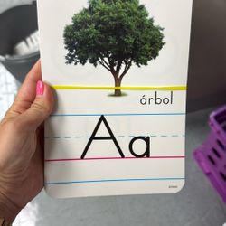 Complete New Set Of Spanish Alphabet Cards Laminated