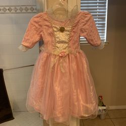 Princess Barbie Costume