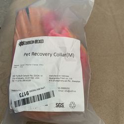 Dog recovery donut 