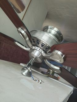 Hunter Ceiling Fan