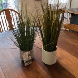 Fake Plants