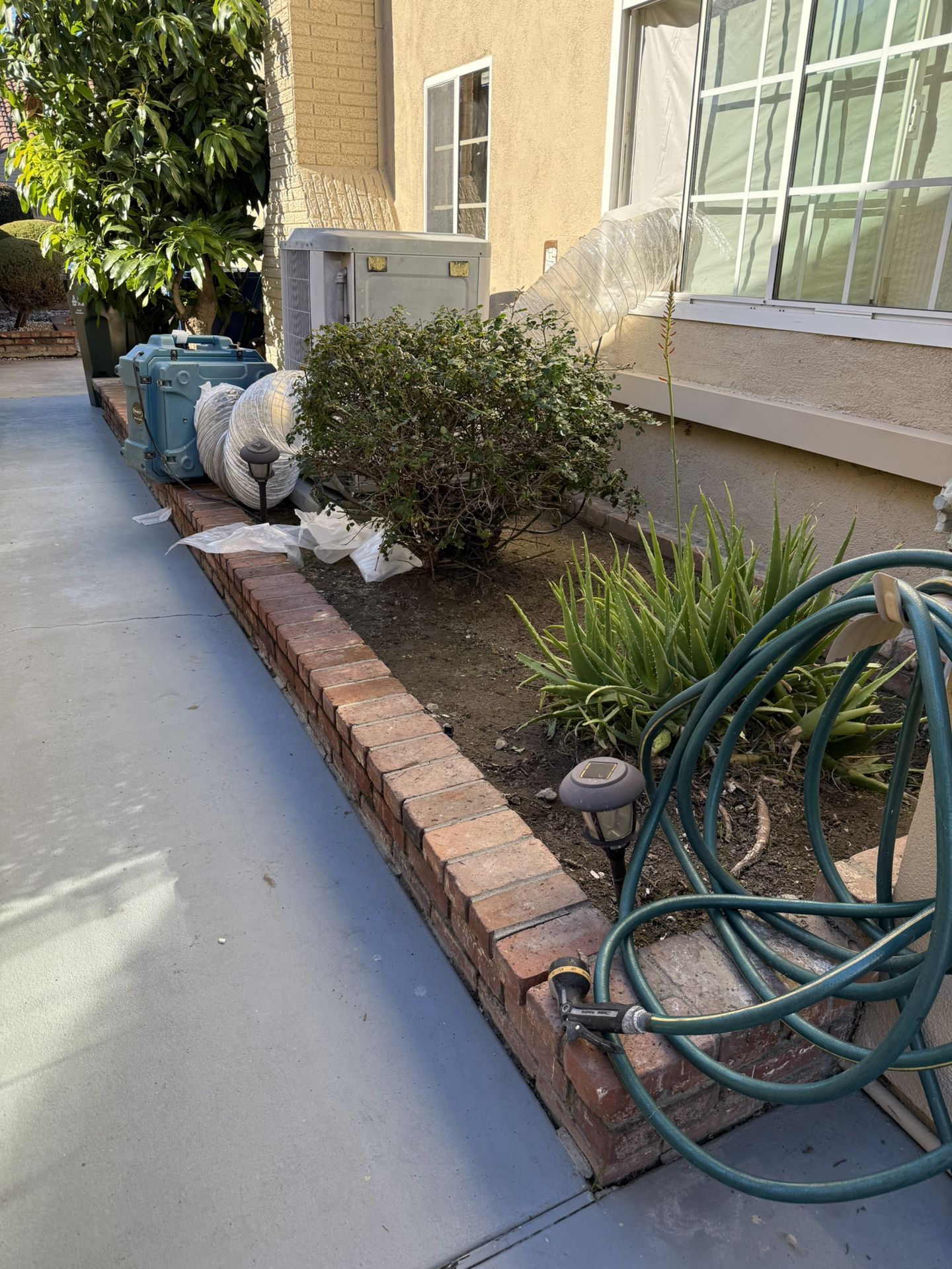 FREE DIRT, PLANTS AND TREE