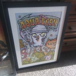 Framed Aqua Teen Art