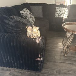 Fluffy Black Couch 