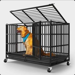 New Kennel 